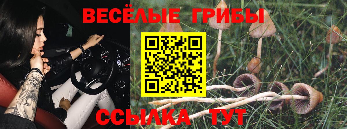 Галлюциногенные грибы ЛСД Алапаевск